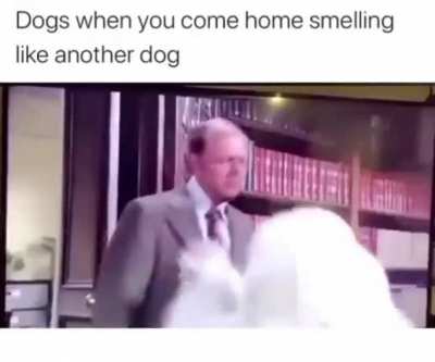 Traitor!