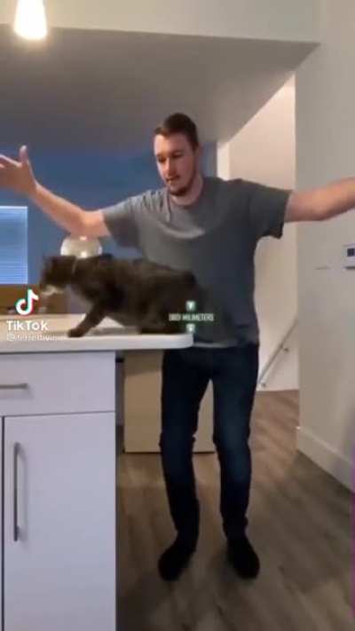 Talent
