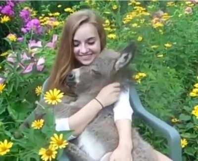 When he's an ass, but you still love him <3