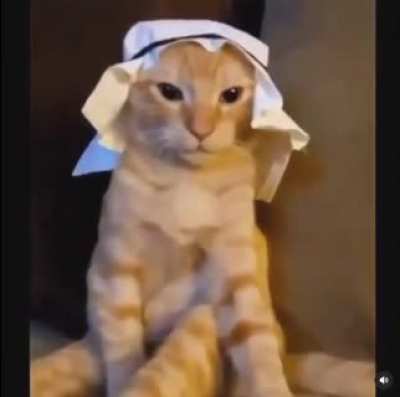 tan ni ni ni ni na ni ni ni ni na ni ni ni ni ni a mimi a li culi ande gandi gandi a