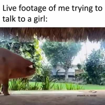 The position