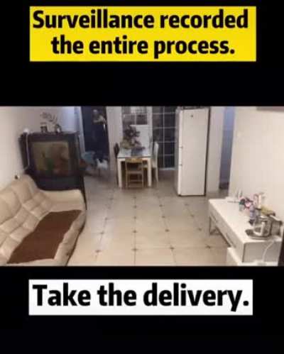 Doggo answers the door