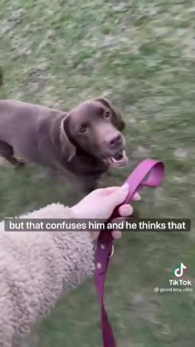 Such a good boy