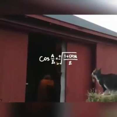 Huge miscalculation