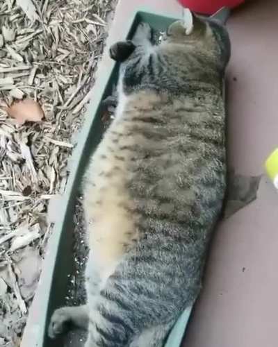 Бать, тебе нормально?