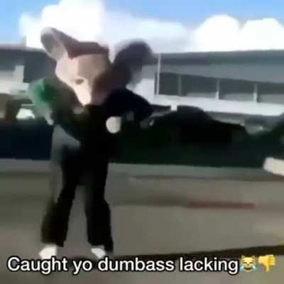 Damn