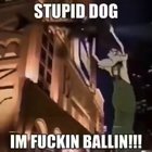 FUCKIGN MUTT!!1! 🧐🥵🥵😡😡😡