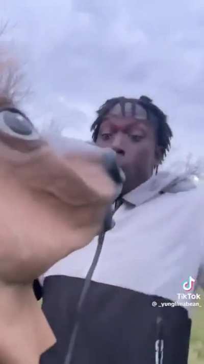 Hay