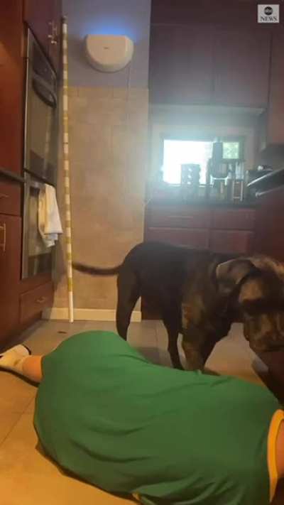 HiTmAn DoGgO FiniShEs FAiLeD pOisOninG aTtAcK