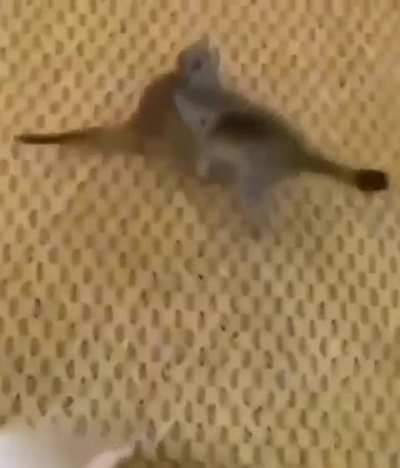 Maybe maybe maybe 