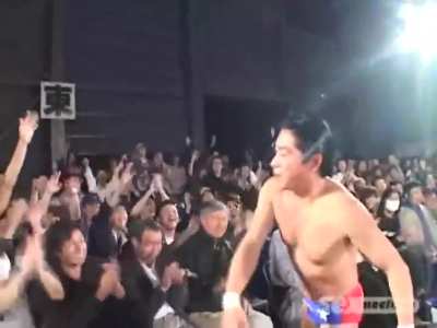 Japanese Wrestling