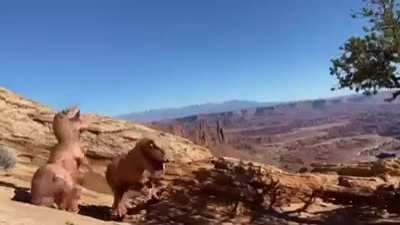 Something strange happened on our NP trip to Utah….