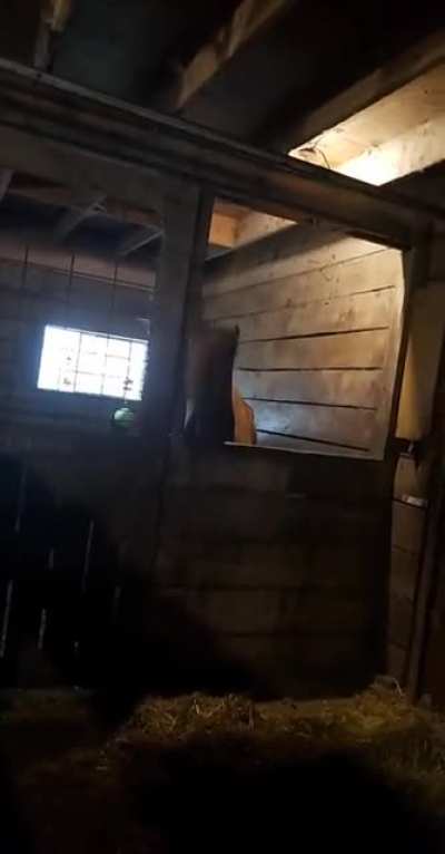 He's back!