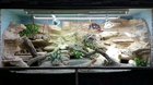 Time lapse 25min in 2:29