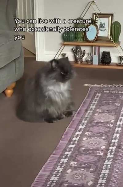 So fluffy!