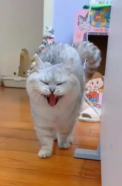 Watf?