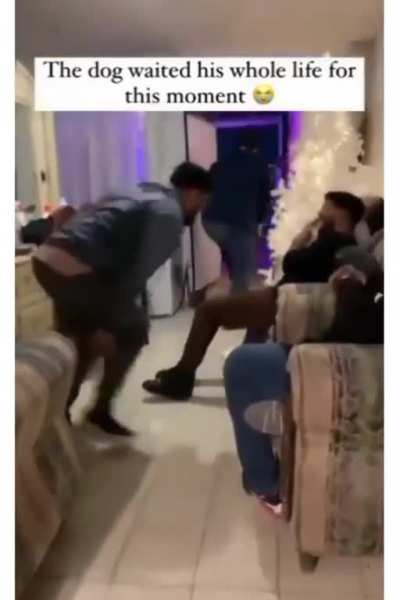 The life and soul of the party