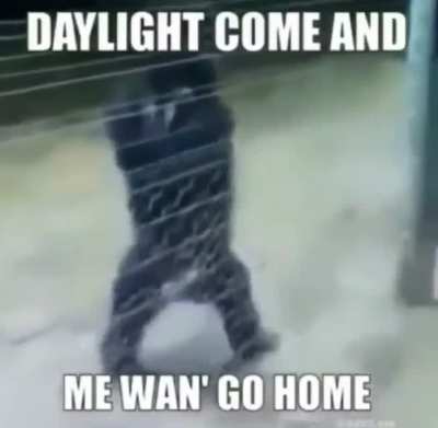 hehe monke :)