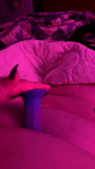 First Post Hope You Enjoy