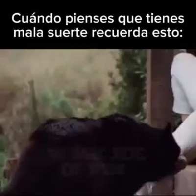 Que suerte