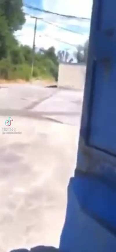 stolen from tiktok but this made me audibly laugh
