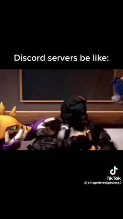 discord e tipo: