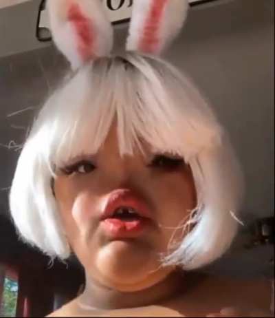 Rabid 🐇 🐰