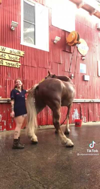 Butt scratches