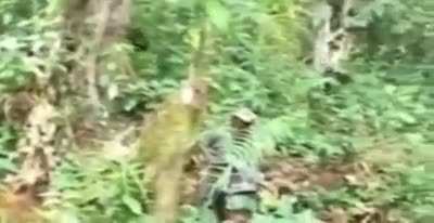 Me and my squad trying to flank on PHL