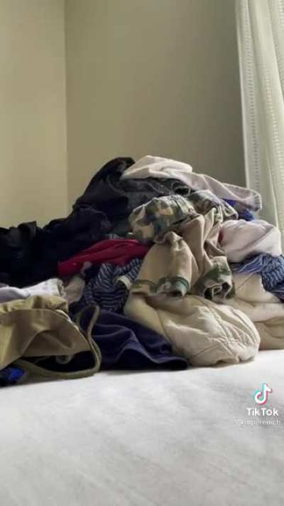 Laundry cat