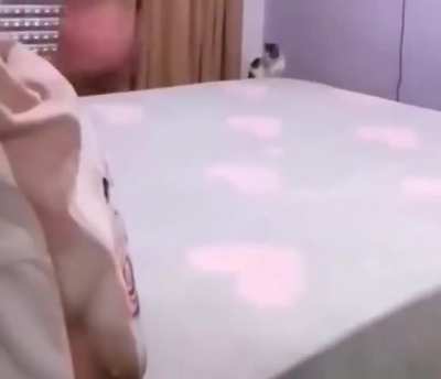gugTsfwsefsegsegsgsgsgssgsgge4444444444444444444444444
