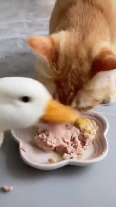 Dude, this is why no one invites you to dinner.