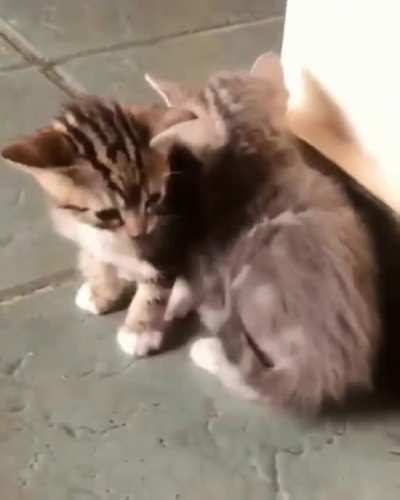 Tiny cuddle