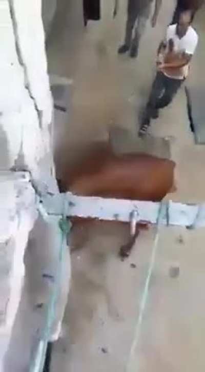 He totally deserved it.