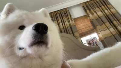 THE NOSE ahhhhh!!!!