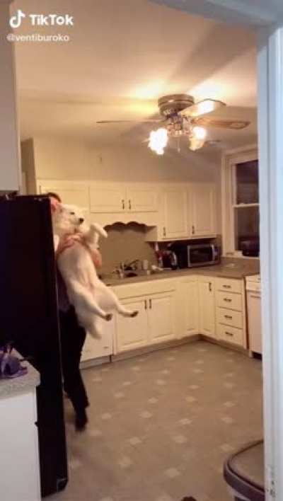 doggo must be cleaned