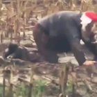 С Наступающим!