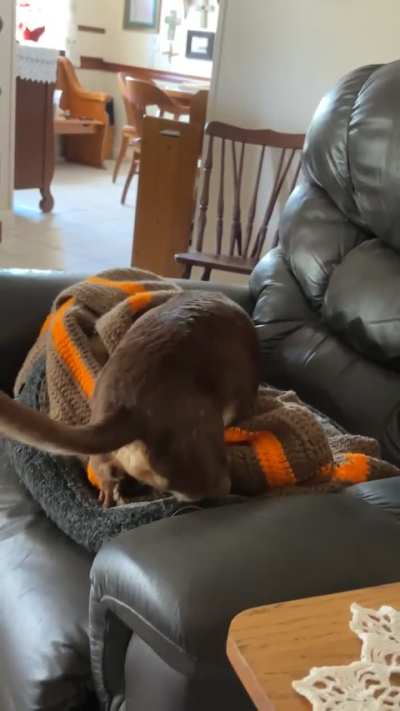 post bath vibes