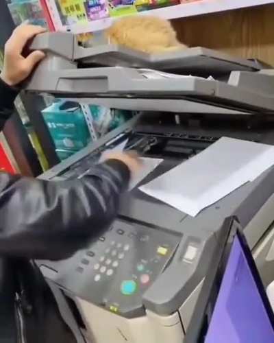 Catscan