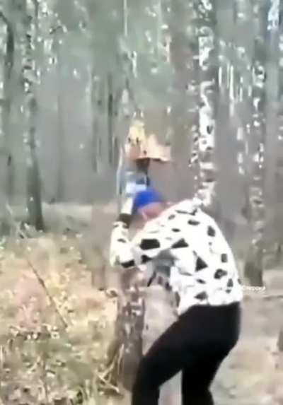 Kicking a tree for no reason
