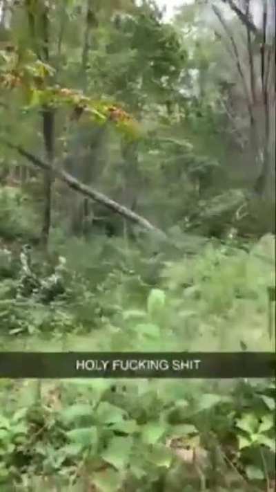 Cutting down a tree without situational awareness