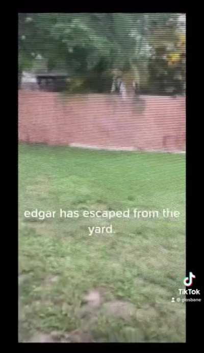 PSA