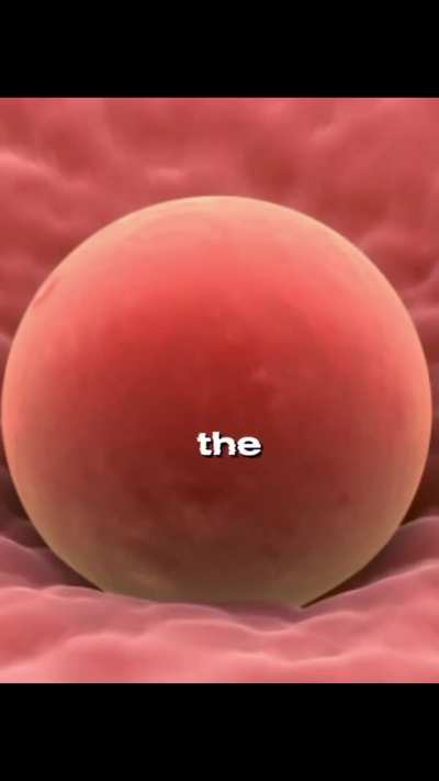 For y'all biocels 