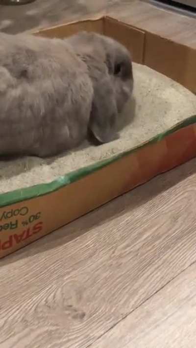 I think I’m gonna need a deeper dig box
