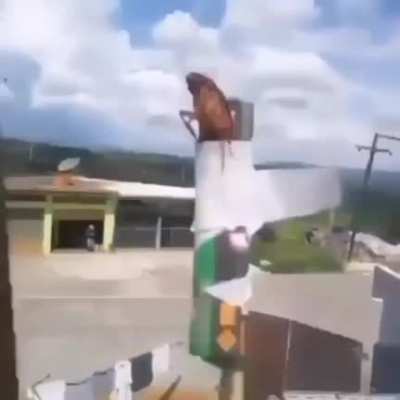 AAA