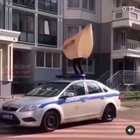 СтопК<wbr>опХам