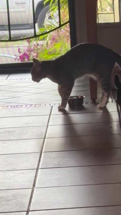Weird Digging
