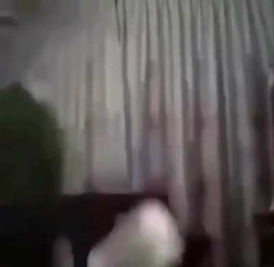 Yikes