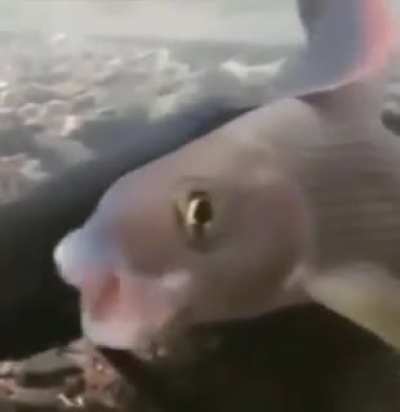 Hmmm