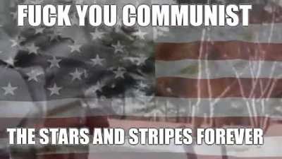A PSA for the brigading commies.